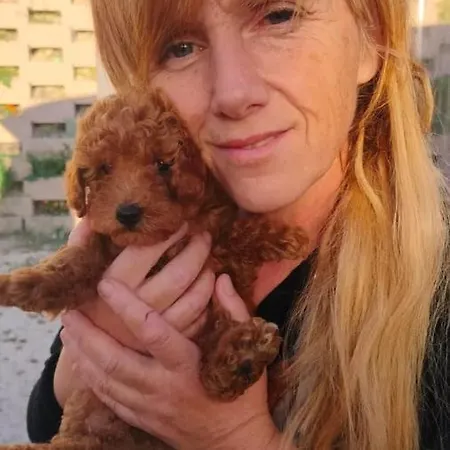 Sweet Night Bed & Breakfast 3*