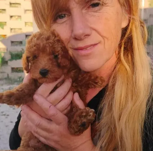 Sweet Night Bed & Breakfast 3*